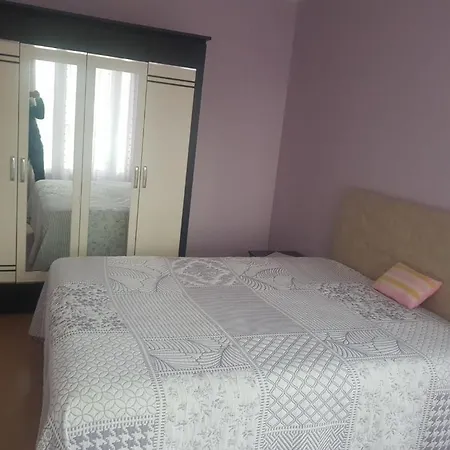 Olive garden villa Altınoluk *