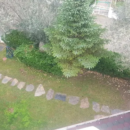 Olive garden villa Altınoluk *